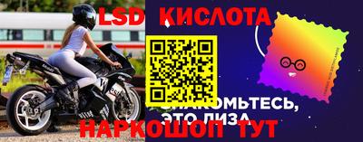 ALPHA-PVP Новозыбков