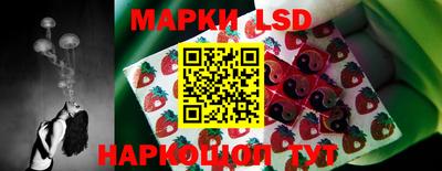 ALPHA-PVP Новозыбков