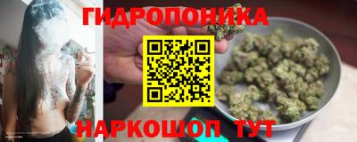 ALPHA-PVP Новозыбков