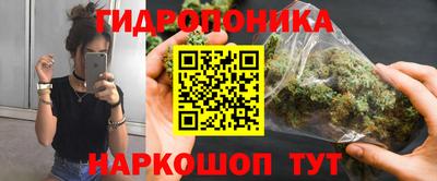 ALPHA-PVP Новозыбков