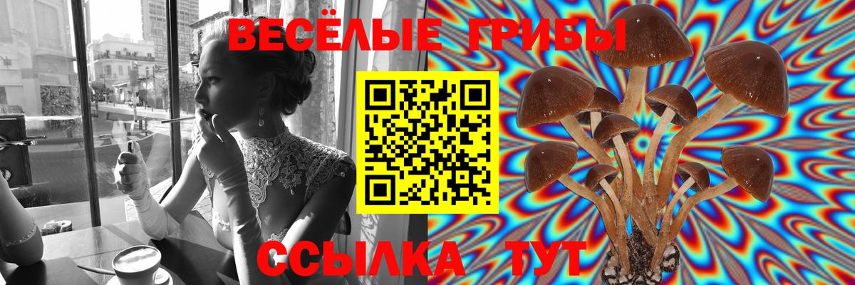 Галлюциногенные грибы MAGIC MUSHROOMS  Вход с VPN  Строитель 